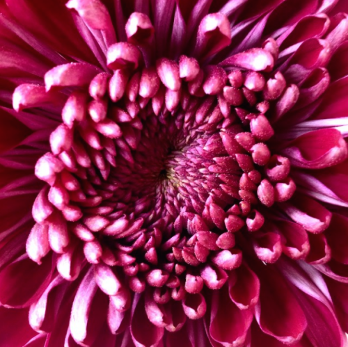 @lindaloveschocolate