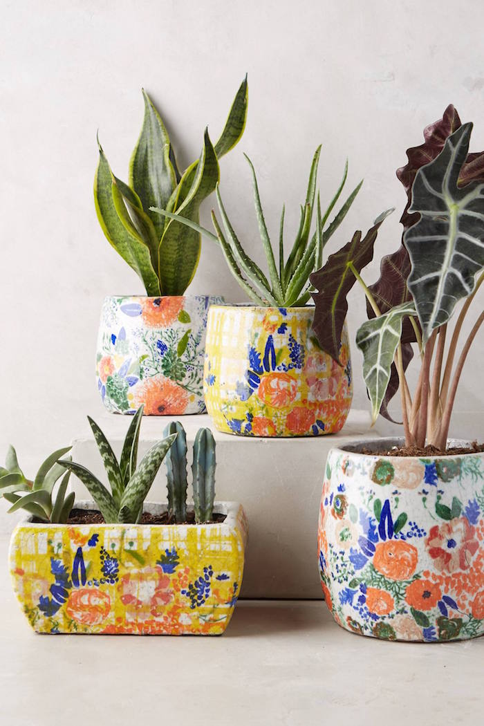 Bloomfield Pots / Anthropologie