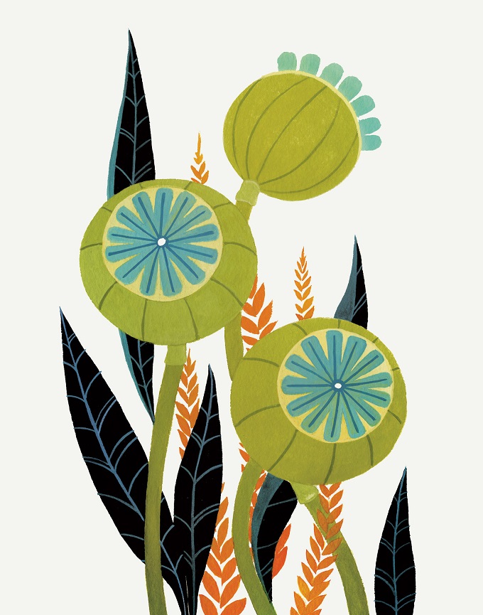 Illustration by Britt DeMaris