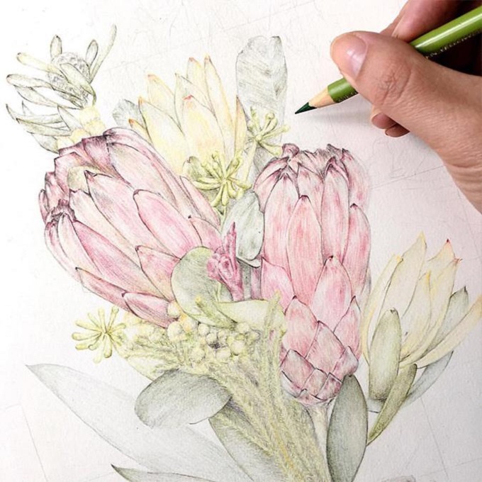 Illustration by Carmen Hui