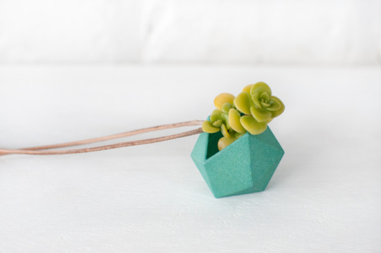 Colleen Jordan / Wearable Planter