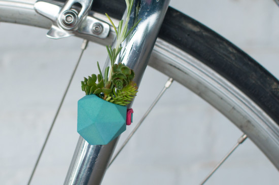 Colleen Jordan / Wearable Planter