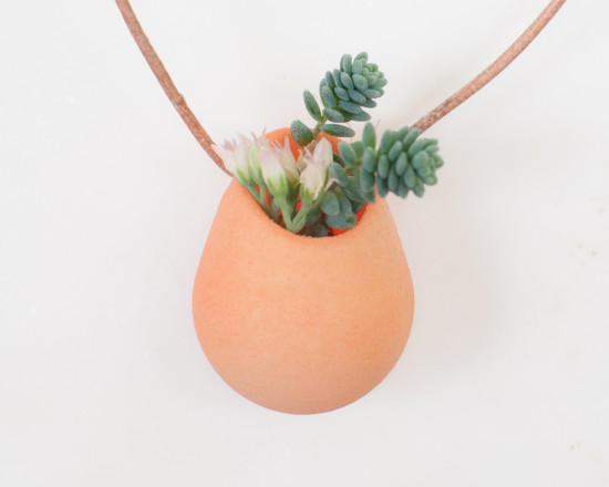 Colleen Jordan / Wearable Planter