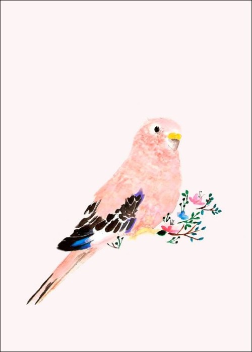 Daniela Dahf Henríquez1