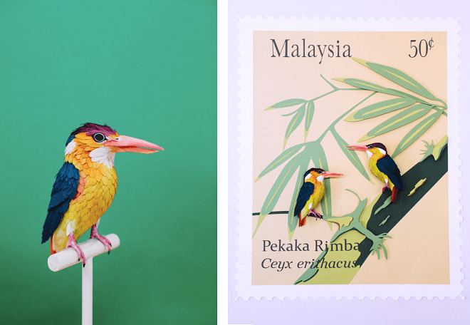 Diana Beltrán Herrera