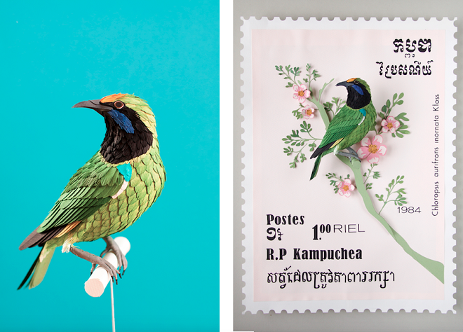 Diana Beltrán Herrera