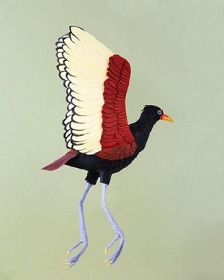 Diana Beltrán Herrera