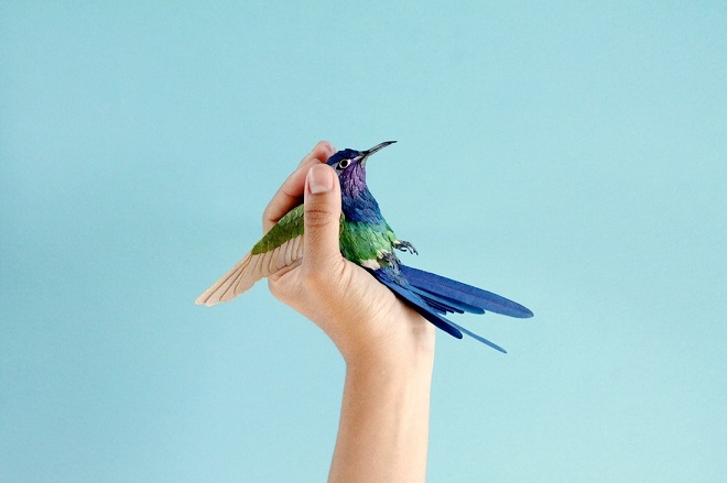 Diana Beltrán Herrera