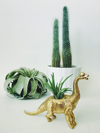Dino Planter / Two Trees Botanicals