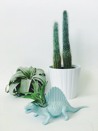 Dino Planter / Two Trees Botanicals
