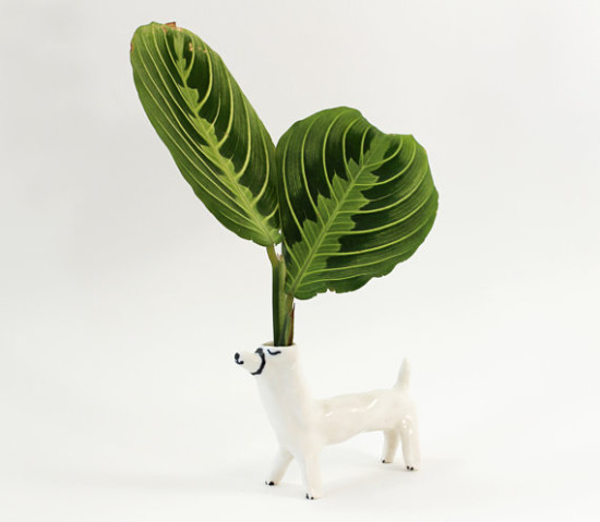 Planter / Eleonor Boström