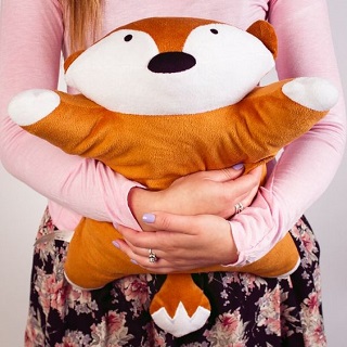 Fox Lap Wamer / Firebox