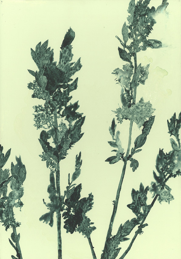 Flowers. By Fredrik Åkum, 2011.