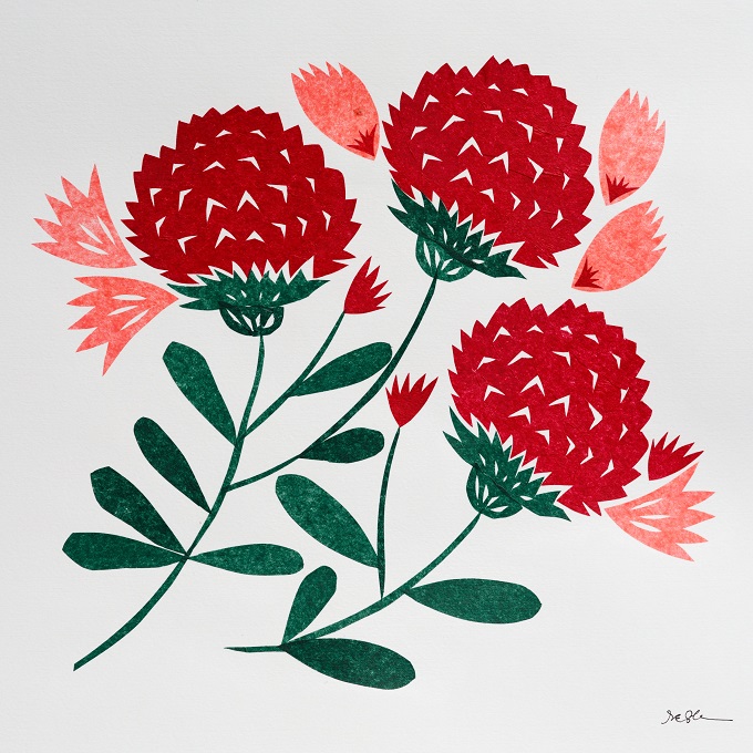 Paper Cut Illustrations by Stacey Elaine