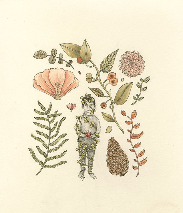 From the Botanical series, by Rachel Levit.