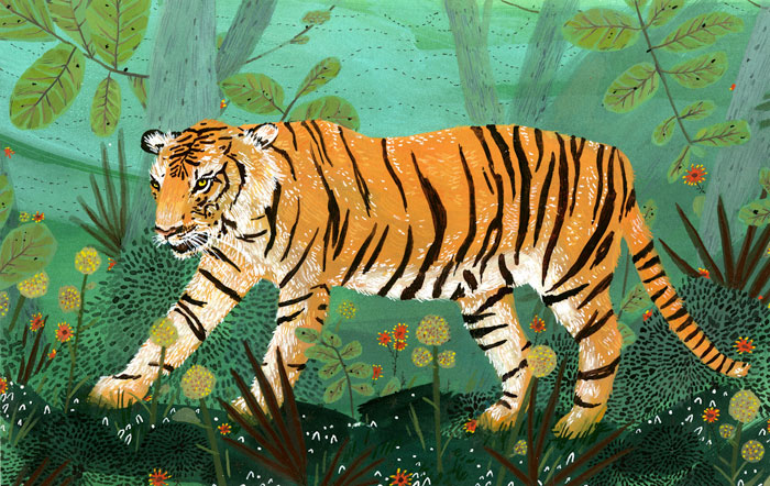 Tiger, by Becca Stadtlander.