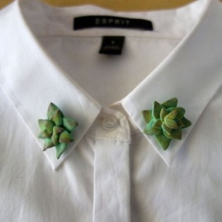 Cactus Collar Pins