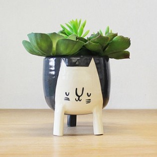 Cat Planter