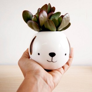 Dog Ceramic Plant Pot