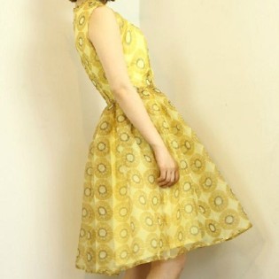Golden Organza Dress