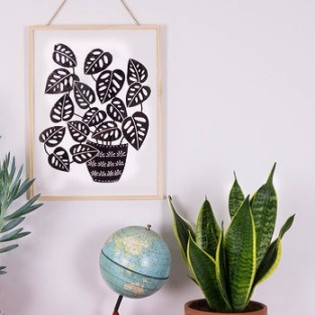 Monstera Obliqua Print