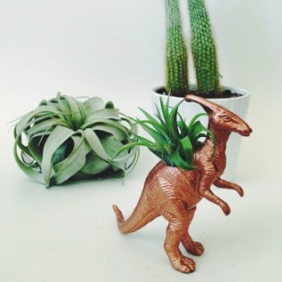 Small Dinosaur Planter