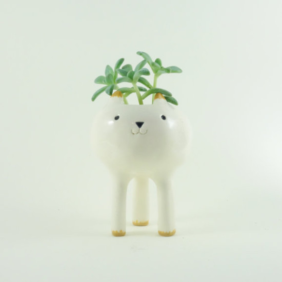 Planter / Minky Moo